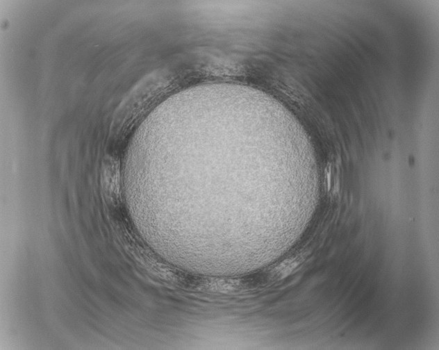 X0000053071251200508081211