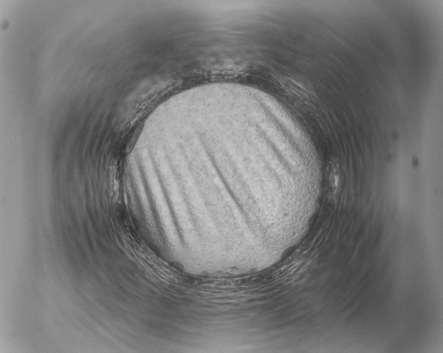 X0000053071252200508081211