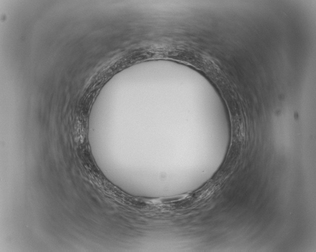 X0000053071253200508081211