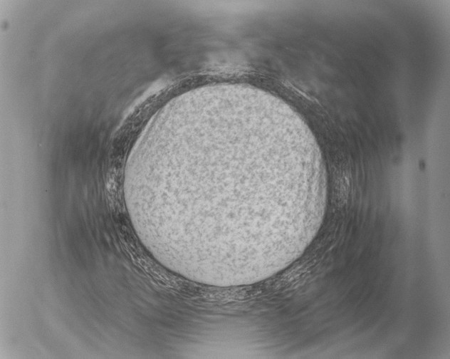 X0000053071254200508081211