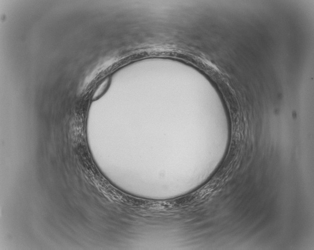 X0000053071255200508081211