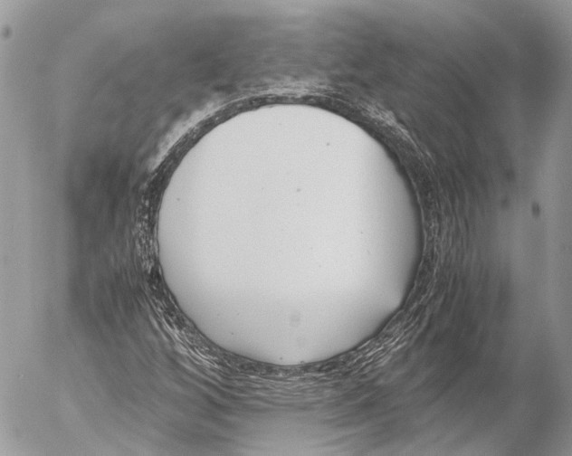 X0000053071256200508081211