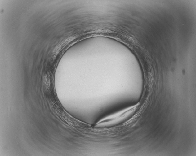 X0000053071257200508081211