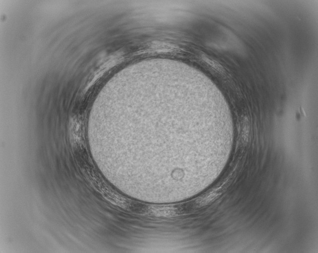 X0000053071258200508081211