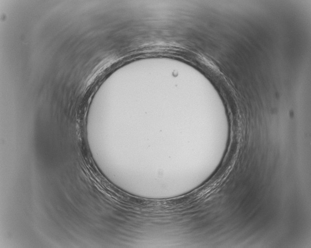 X0000053071259200508081211