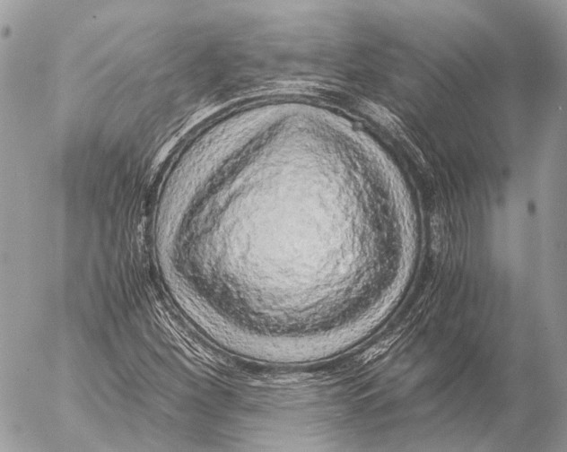 X0000053071260200508081211