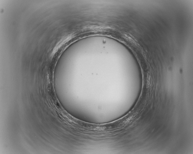 X0000053071261200508081211