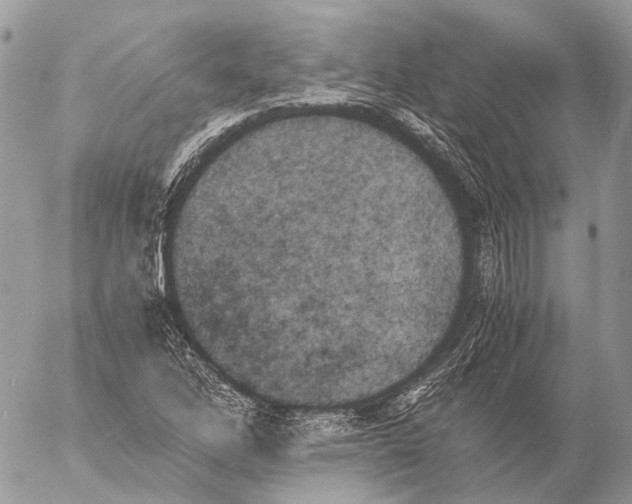 X0000053071262200508081210