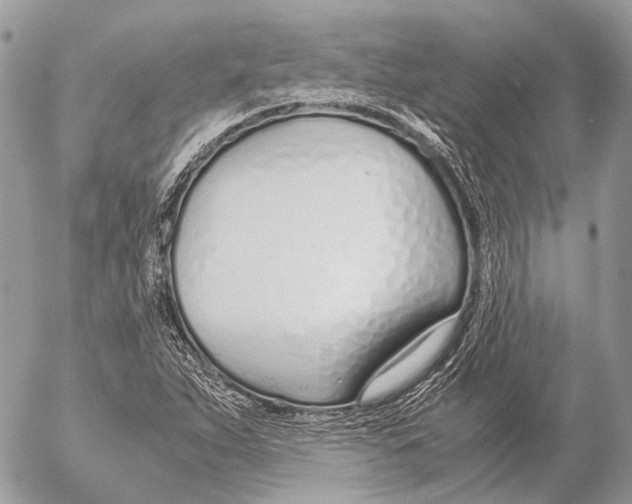 X0000053071263200508081210