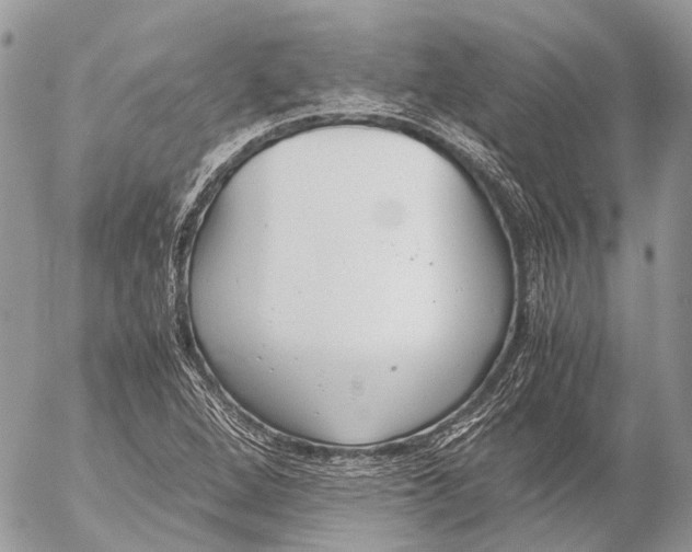 X0000053071264200508081210