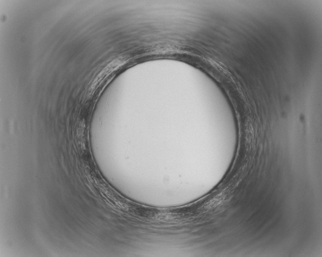 X0000053071265200508081210