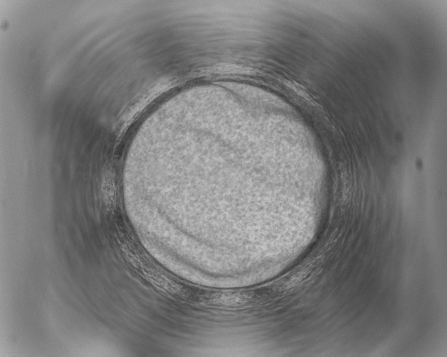 X0000053071266200508081210