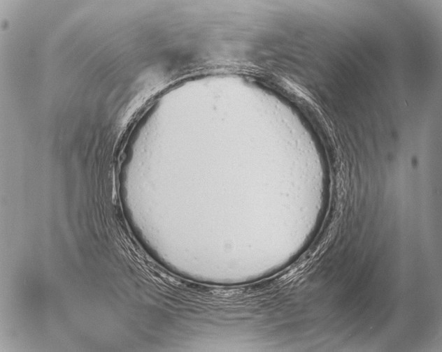 X0000053071267200508081210