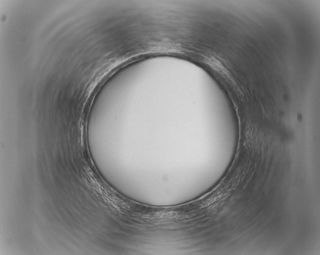 X0000053071268200508081210