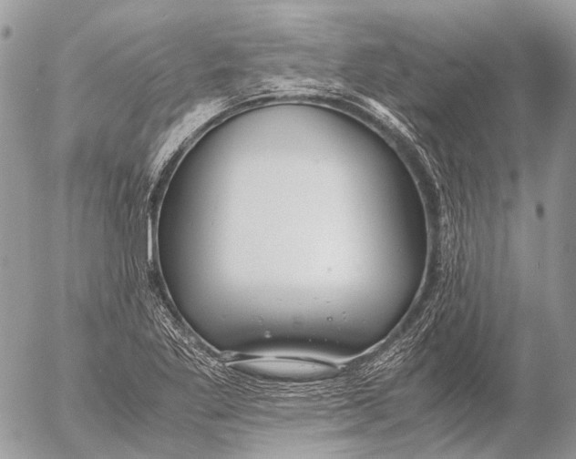 X0000053071269200508081210