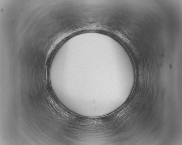 X0000053071270200508081210