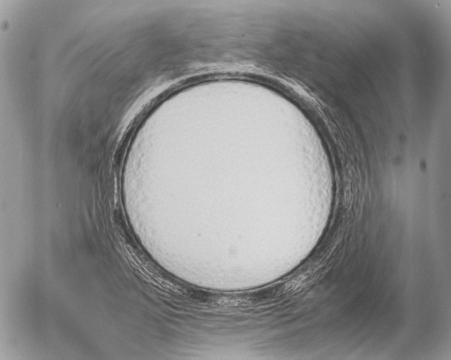 X0000053071271200508081210