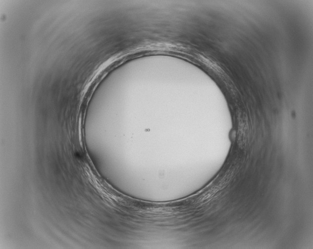 X0000053071272200508081210