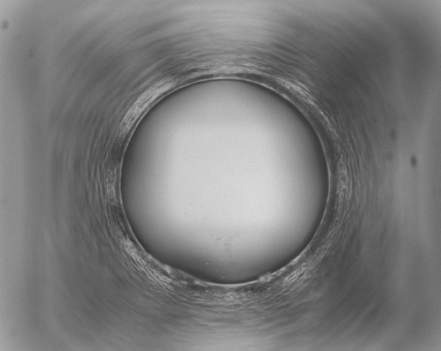 X0000053071273200508081210