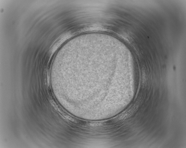 X0000053071274200508081210