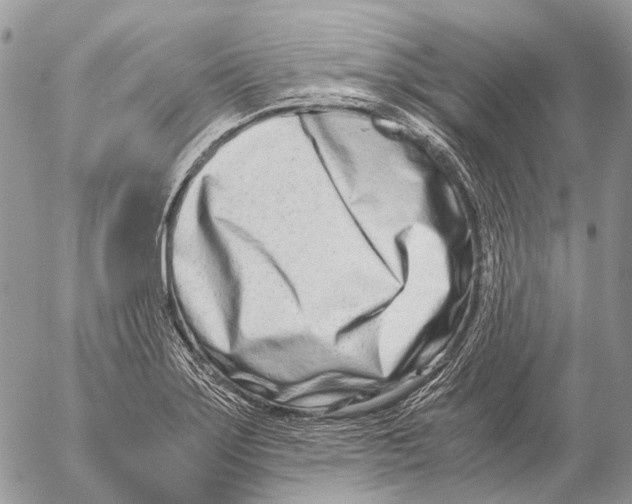 X0000053071275200508081210