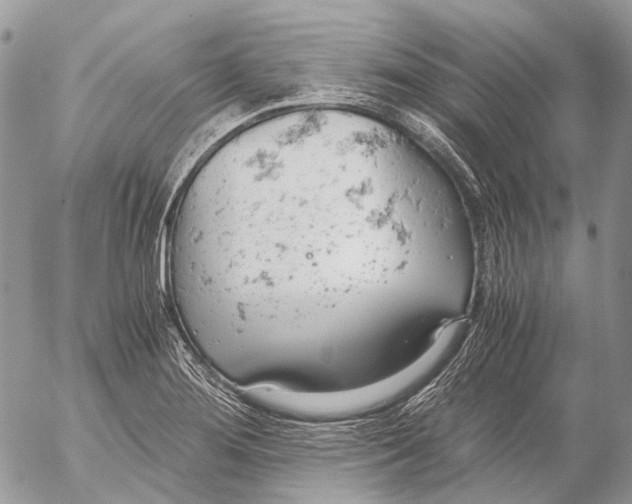 X0000053071276200508081210