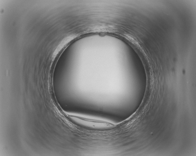 X0000053071277200508081210