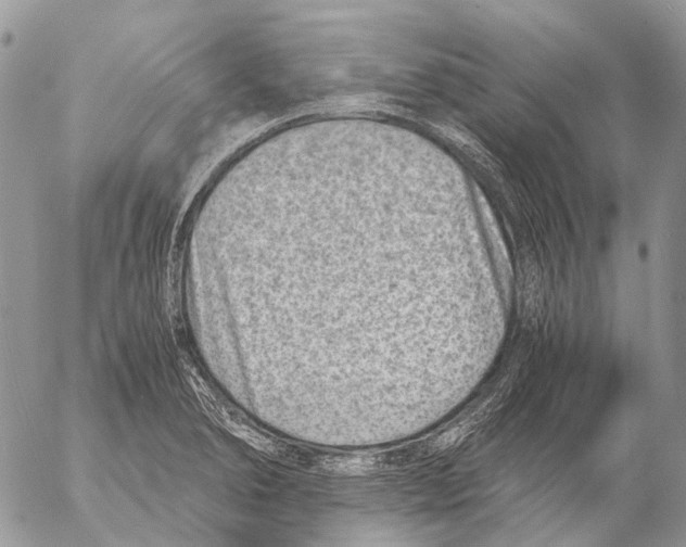 X0000053071278200508081210