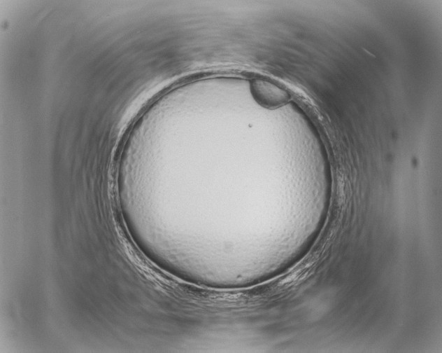 X0000053071279200508081210