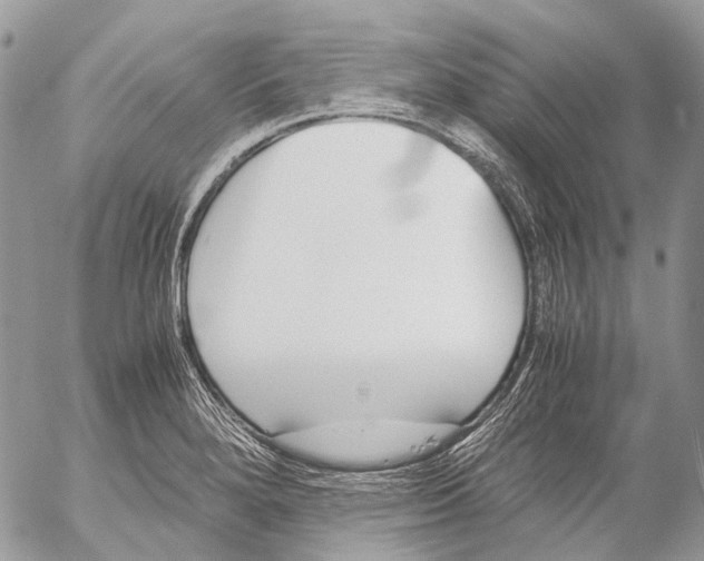 X0000053071280200508081210