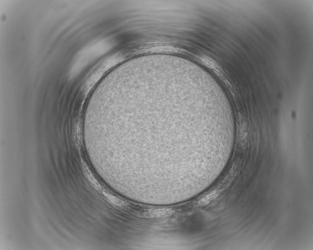 X0000053071282200508081210