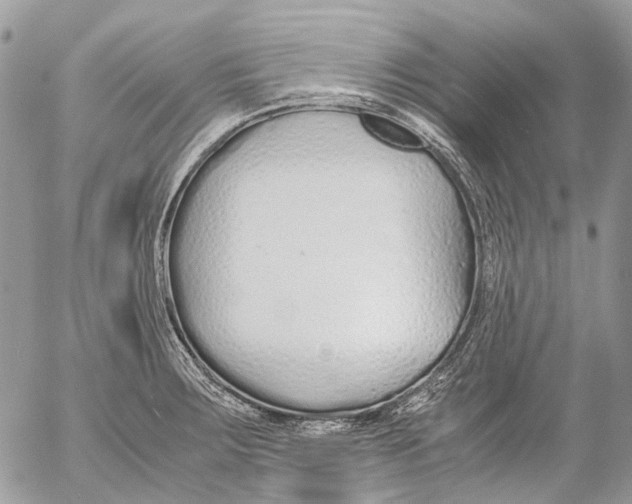 X0000053071283200508081210