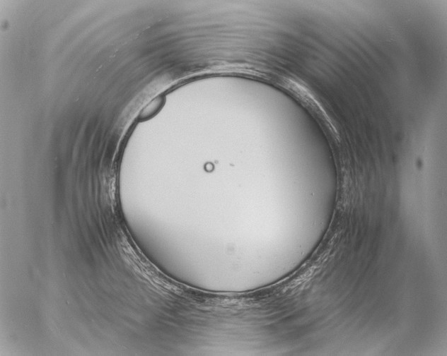 X0000053071284200508081210