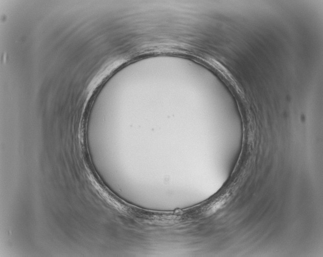 X0000053071285200508081210