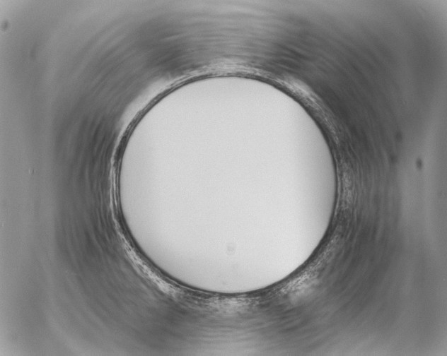 X0000053071286200508081210