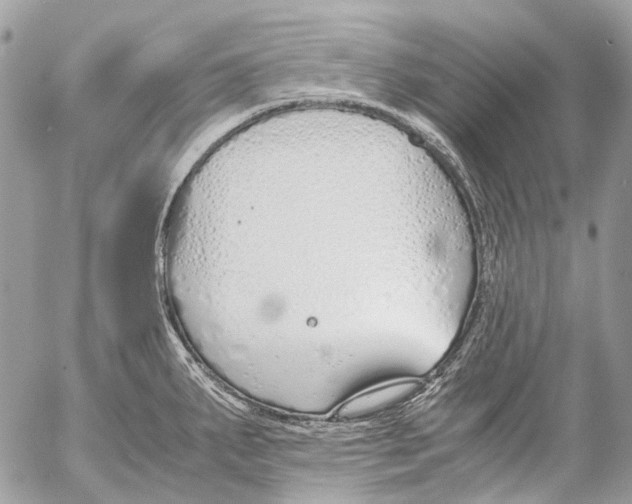 X0000053071287200508081210