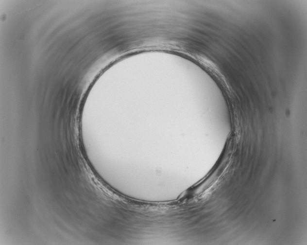 X0000053071288200508081210