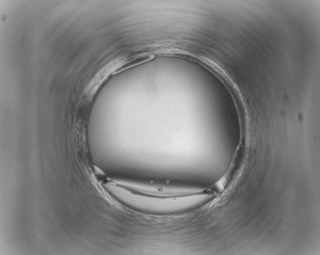 X0000053071289200508081210