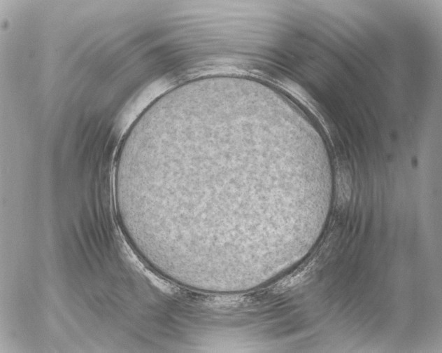 X0000053071290200508081210