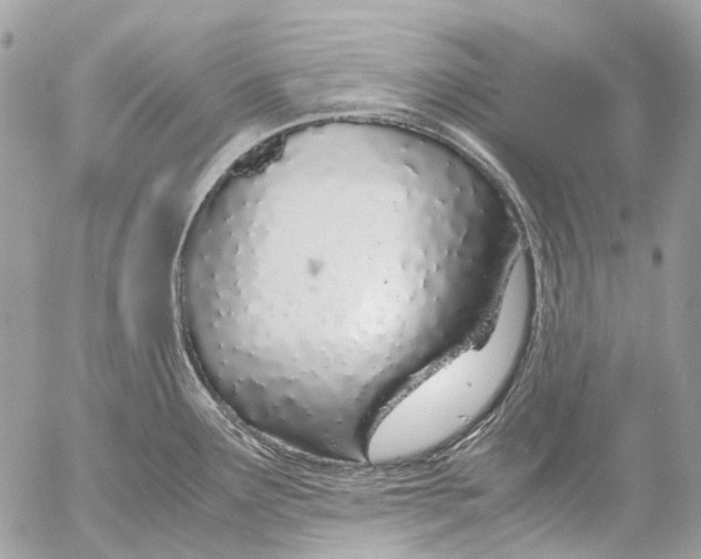 X0000053071291200508081210