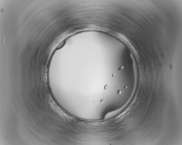 X0000053071292200508081210