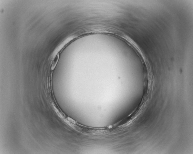 X0000053071293200508081210