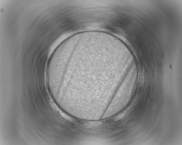 X0000053071294200508081210