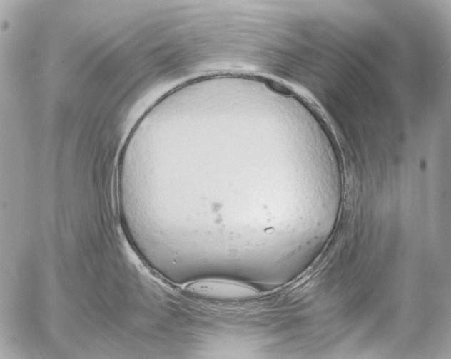 X0000053071295200508081210