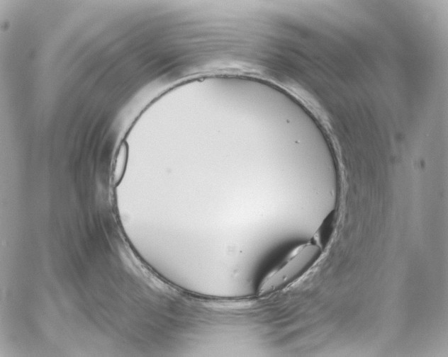 X0000053071296200508081210