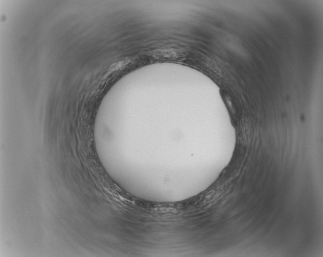 X0000053071297200508081209