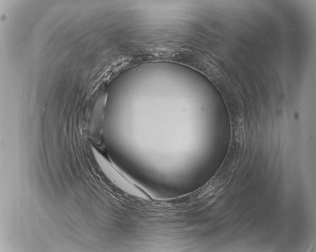 X0000053071298200508081209