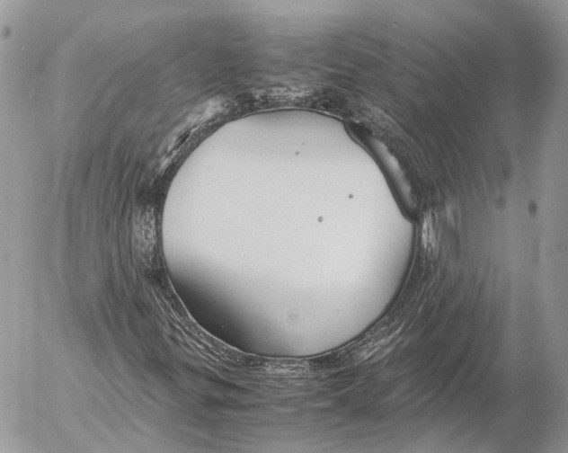 X0000053071299200508081209