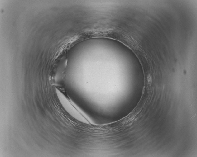 X0000053071300200508081209