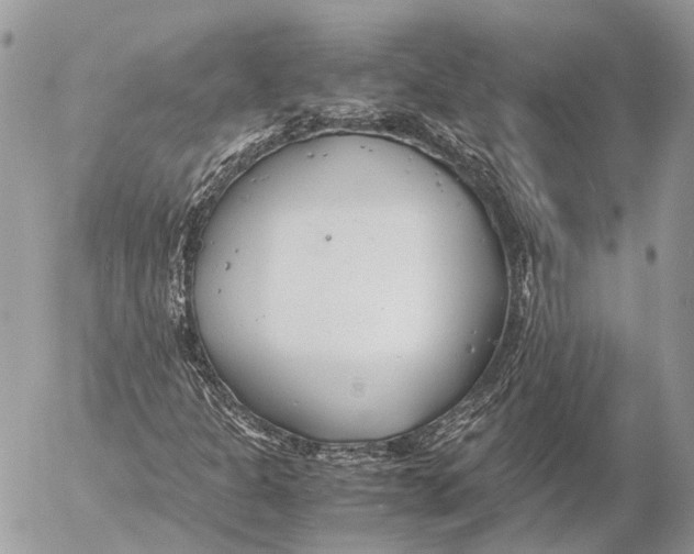 X0000053071301200508081209